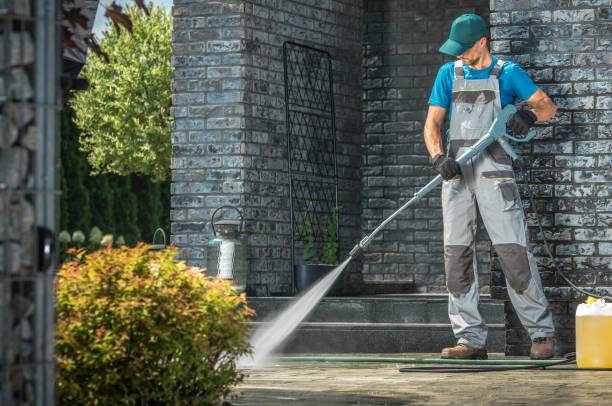 Best Pre-Holiday Cleaning  in Chula Vista, TX