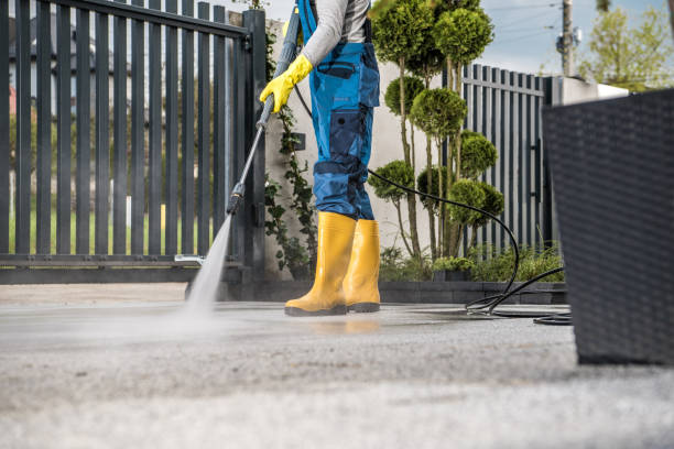 Solar Panel Cleaning in Chula Vista, TX